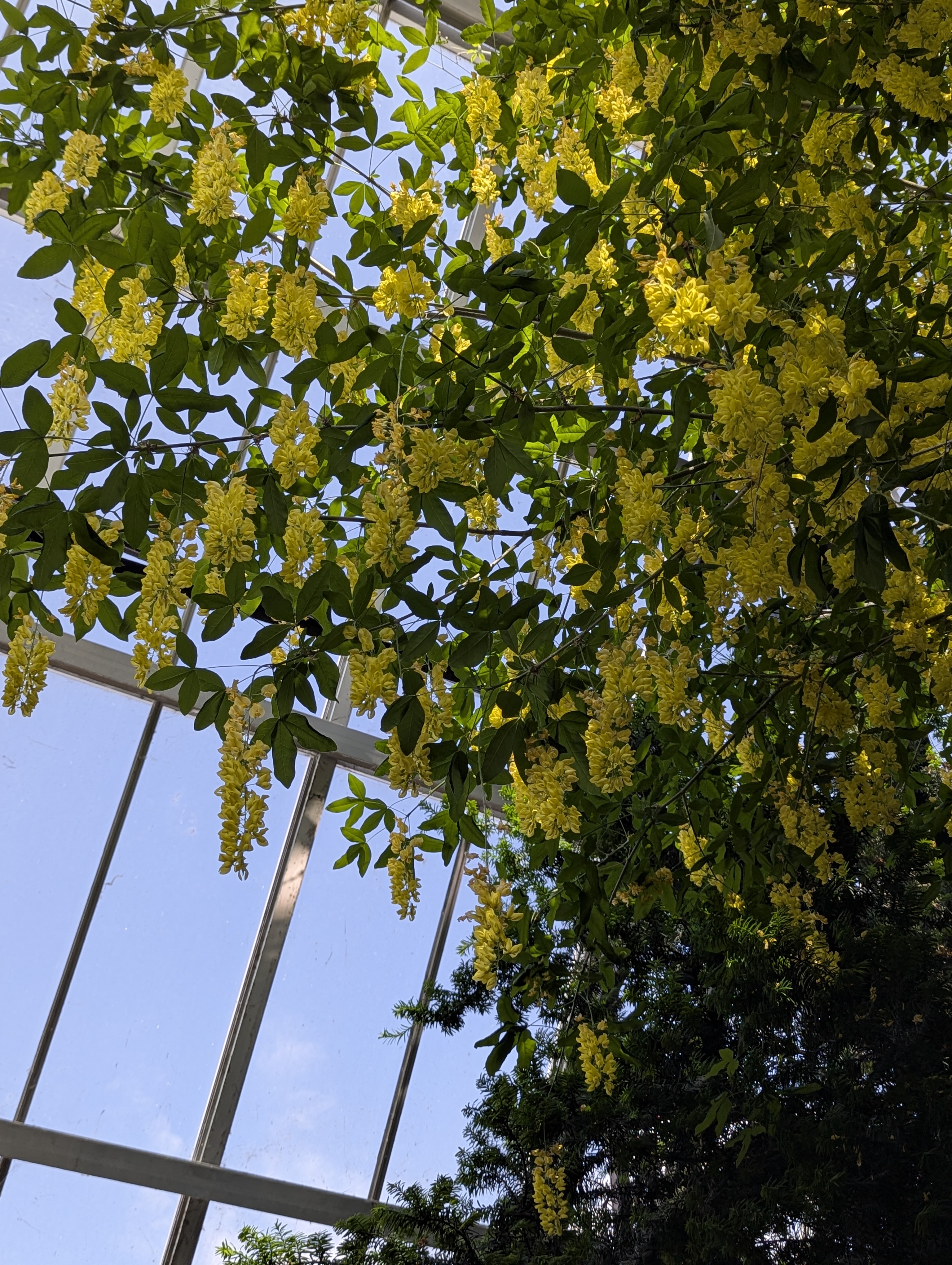 Birthday Trip to Canada, Edmonton, Pyramids, Muttart Observatory